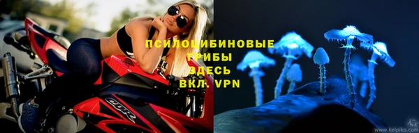 мет Арсеньев