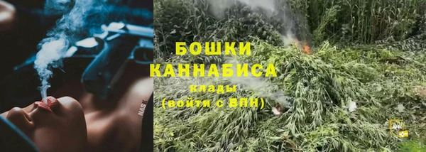 мет Арсеньев