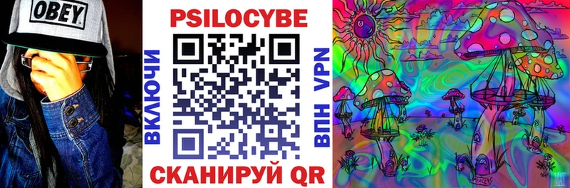 Галлюциногенные грибы Cubensis  сайты даркнета формула  Дорогобуж  купить наркотик 